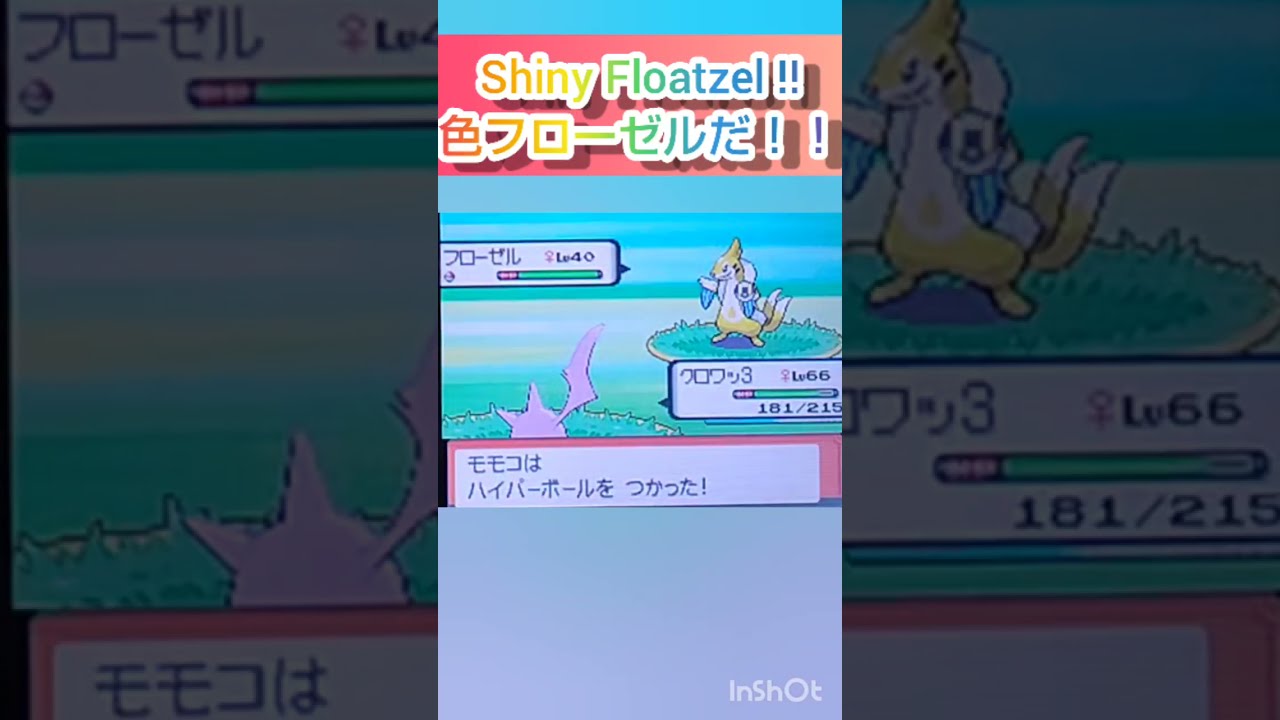 【ポケモンDP】色違い捕獲日記　61日目　フローゼル　【PokémonDP】The diary Capturing shiny Pokémon's　Day61　Floatzel　#shorts