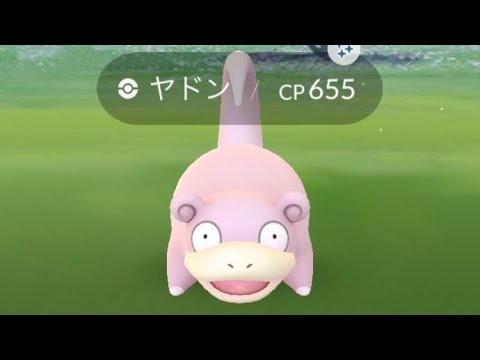 ポケモンGO  ヤドン色違い