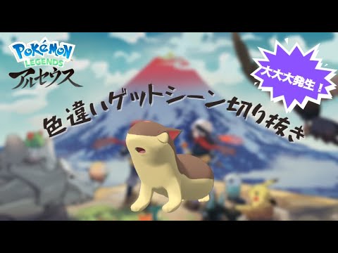 最後の御三家色違いはこの子でした！！（マグマラシ）#short