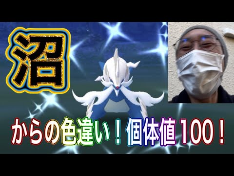 【ポケモンGO】沼！悲劇のヒスイダイケンキのレイドデイ！【色違い】