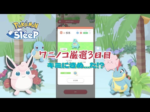 【ポケモンスリープ】こっこおばちゃんの睡眠リサーチ記録 141日目