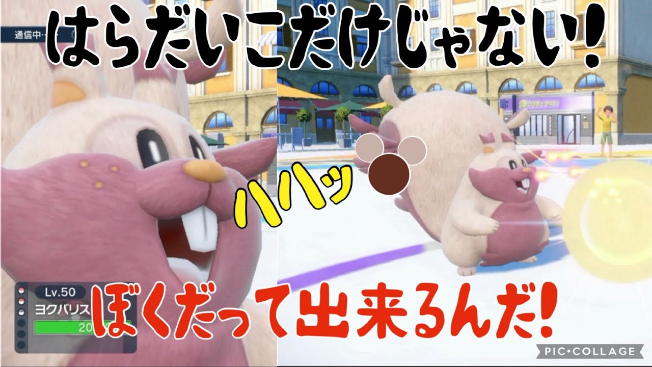 【ポケモン】ヨクバリスがよくタオス