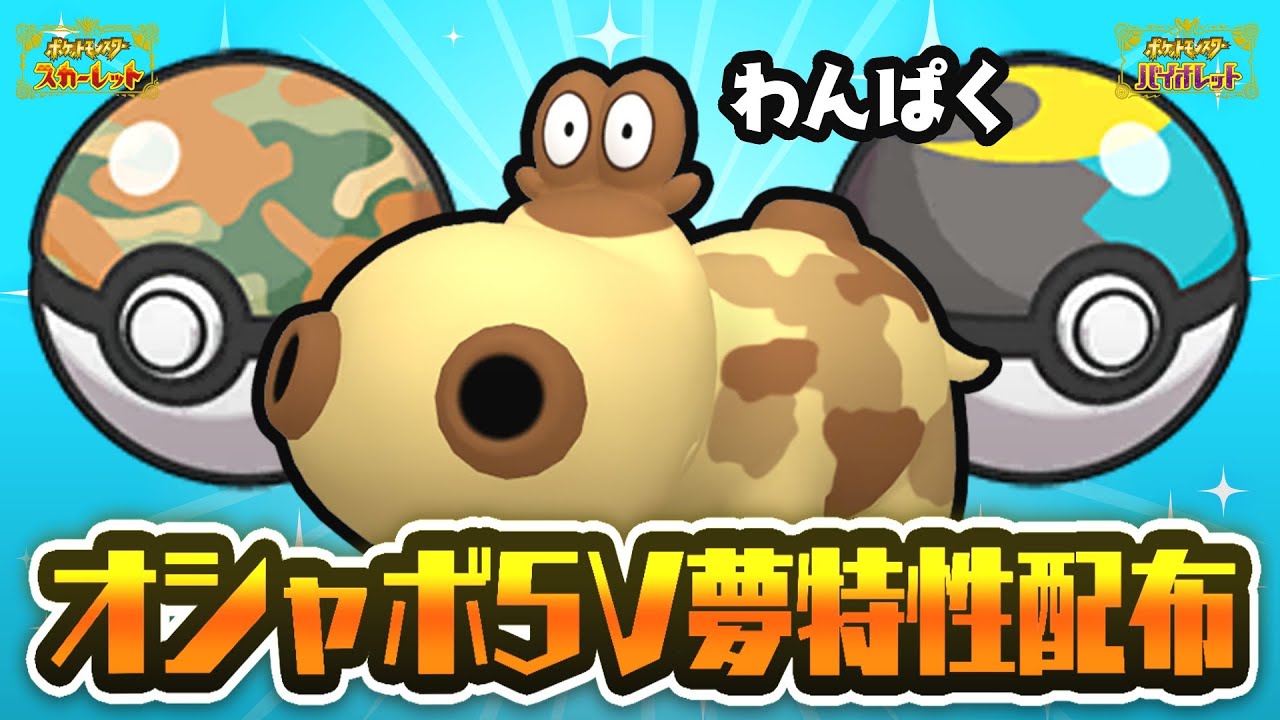 【 ポケモン配布 】初見さん歓迎！オシャボ５V夢特性！わんぱくヒポポタス配布！【  ポケモンSV  】＃９５