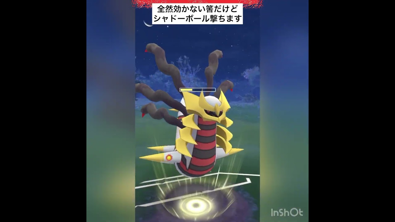 メロエッタ＆ザルードがでてきた💨