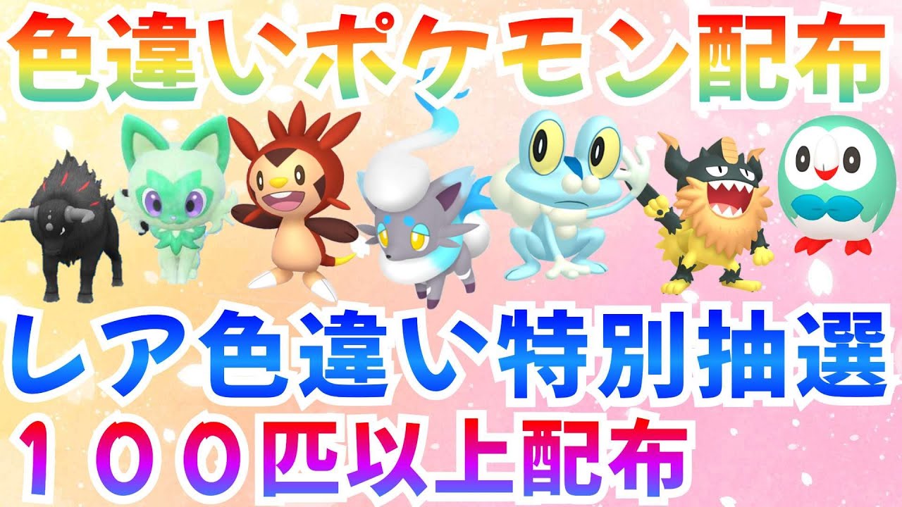 【ポケモンSV 色違いポケモン配布】色ハリマロン ケロマツ ヒスイゾロア モクロー 合計100匹以上  #ライブ #ポケモン配布