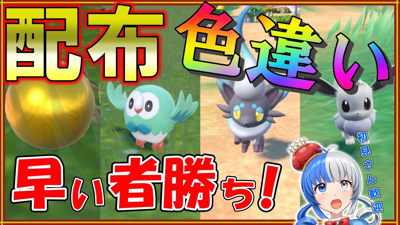 【ポケモンSV】色違い大量プレゼント！モクロー限定３体早い者勝ちで配布します！【#ポケモン配布 #ポケモン交換 】