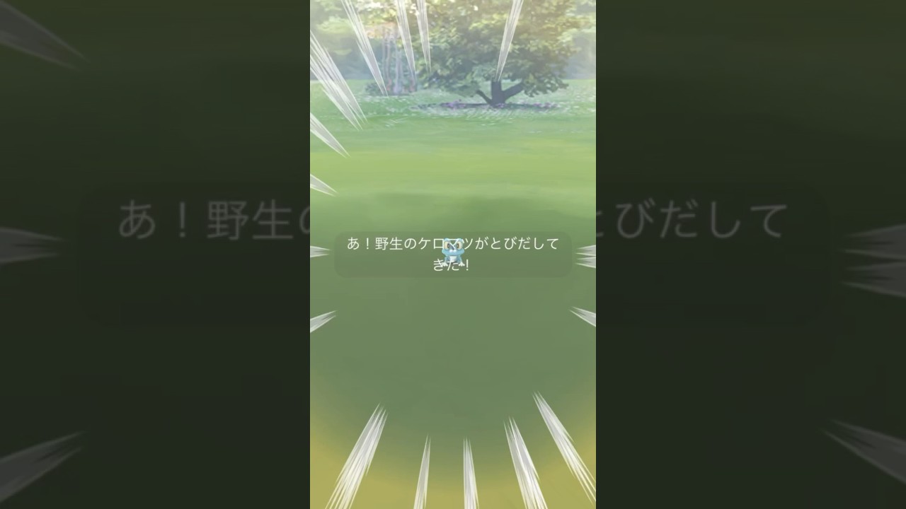 ちっちゃ！なケロマツ！#ポケモンgo #pokemongo