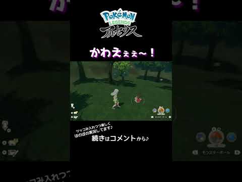 【ポケモン アルセウス #Shorts】人懐っこいケムッソさん