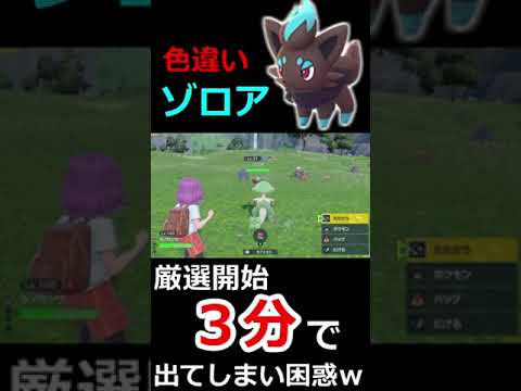 厳選開始３分で色違いゾロアが出てしまい困惑ｗｗ　＃shorts