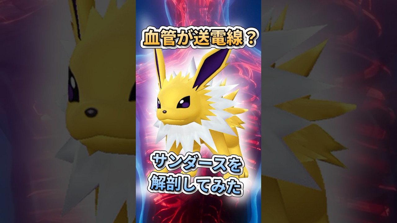 血管が送電線!?サンダースを解剖してみた！　#ポケモンSV #ブイズ  #サンダース    #雑学 #ポケモン雑学  #pokemon #shorts #ポケモンsv  #ケモナー #解剖学