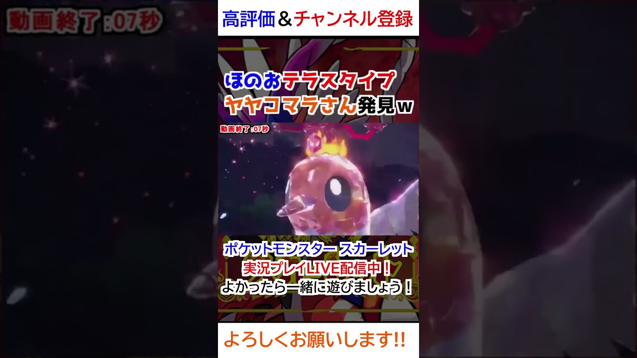 ほのおテラスタイプのヤヤコマさん発見ｗｗ【ポケモンSV】