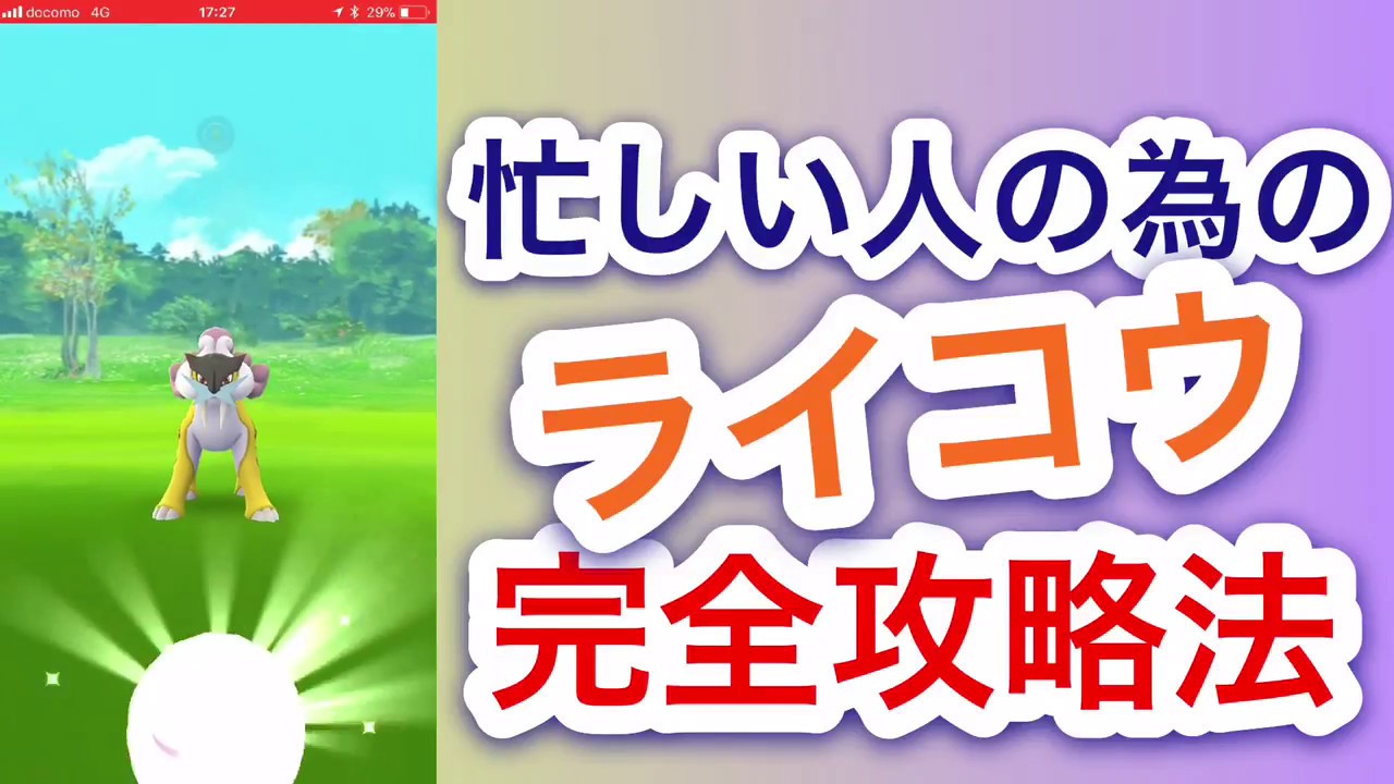 【ポケモンGO】1分で分かる！ライコウにエクセレントを出す方法！【サークル固定excellent】