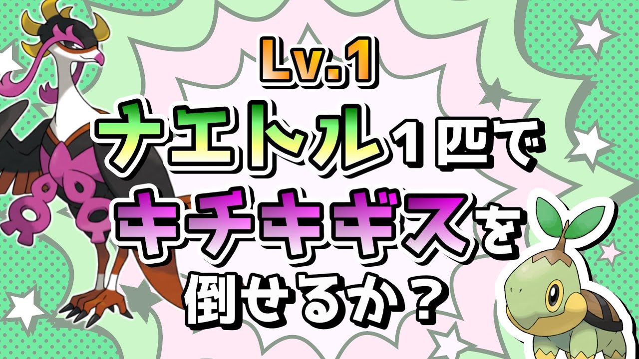 【ポケモンSV】シンオウ御三家チャレンジ！レベル1ナエトル1匹でキチキギスに勝てるか！？