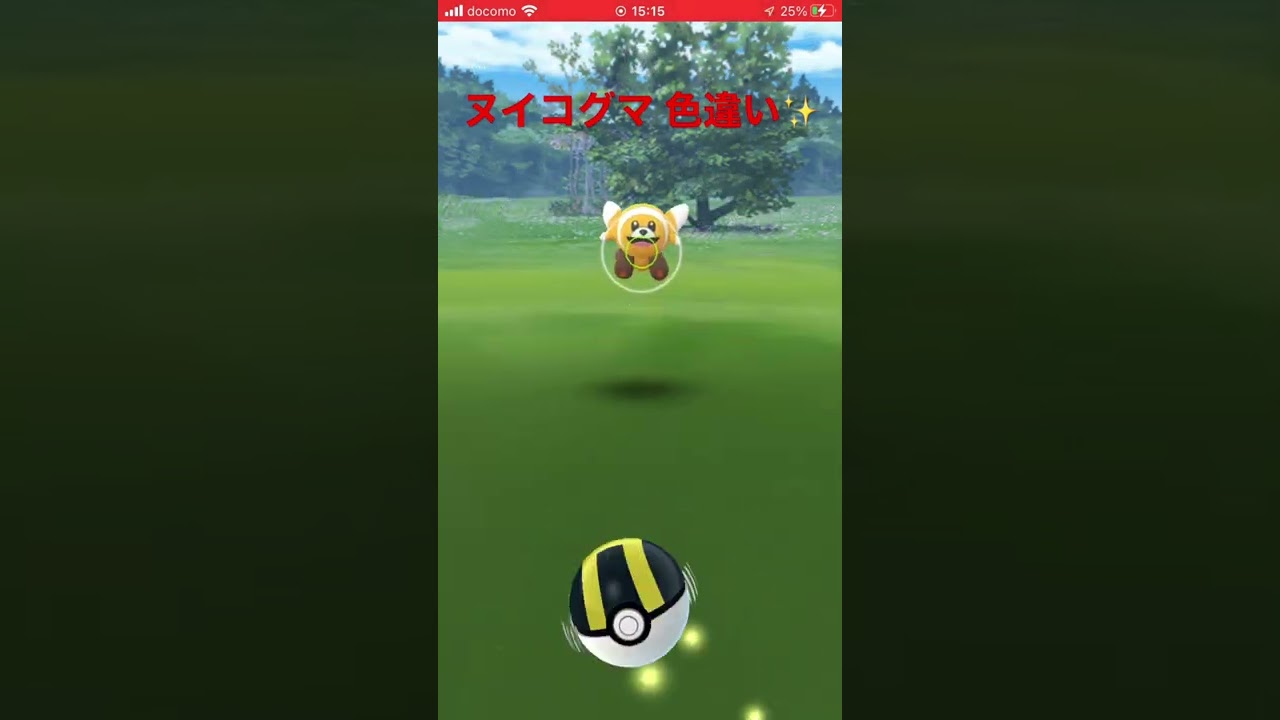 ヌイコグマ 色違い✨