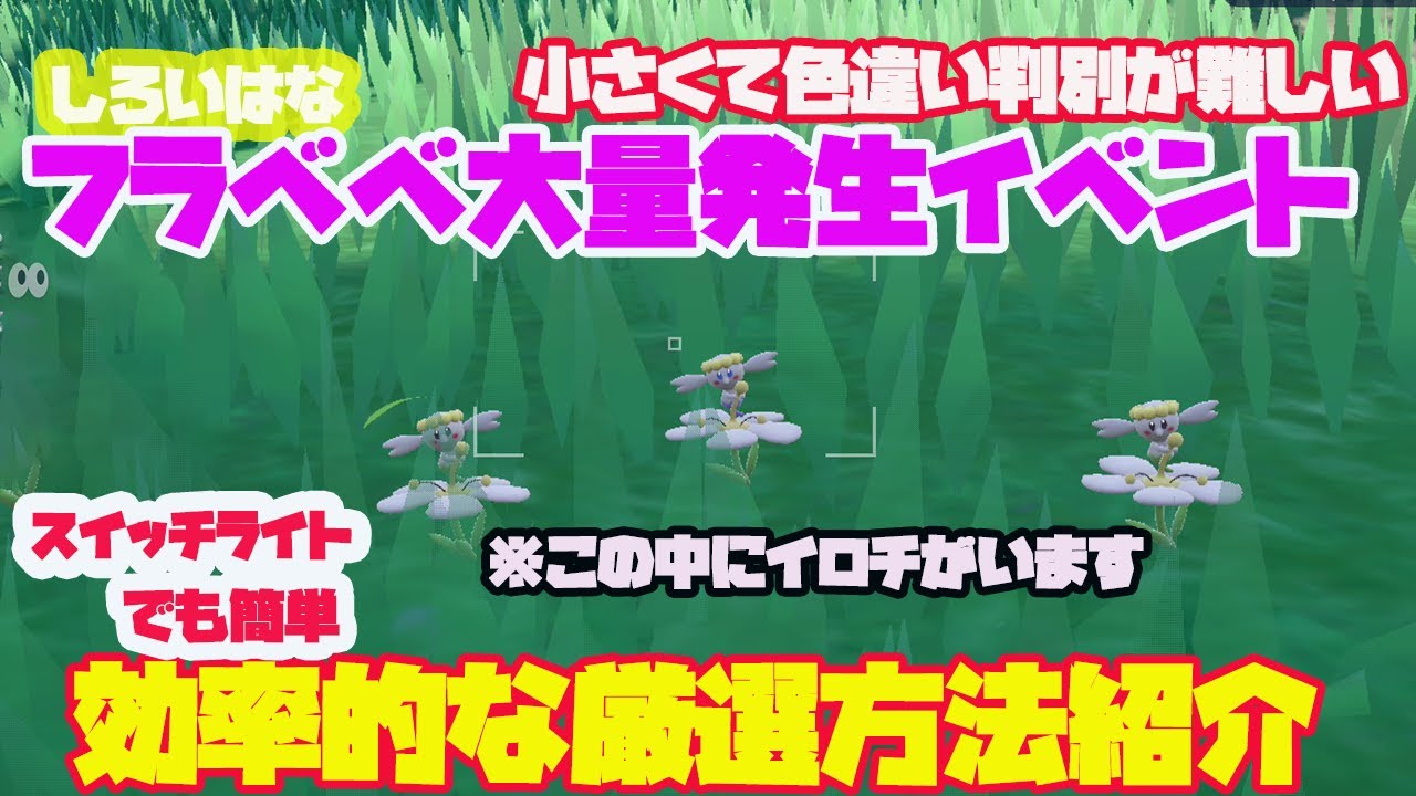 大量発生の出現自体がレアなフラベベの「しろいはな」の姿の色違いを大量発生イベントで色違いを捕まえよう　厳選方法紹介【ポケモンSV】【ポケモンスカーレットバイオレット】