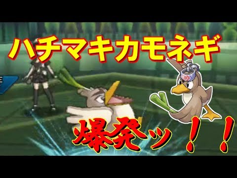 【ポケモンUSUM】先発キラーハチマキカモネギ