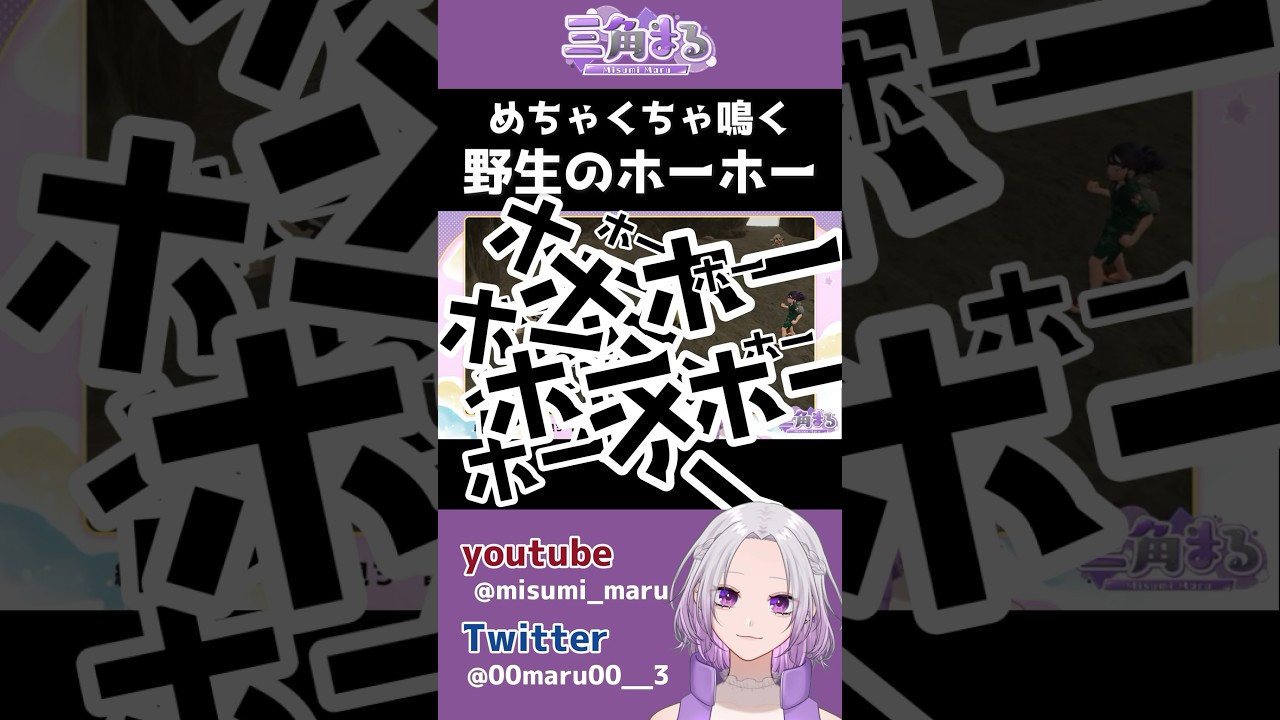 【 #ポケモン 】なんだか野生のホーホーの様子がおかしい・・・　#ポケモンsv #ポケモンバイオレット #まるっと見て