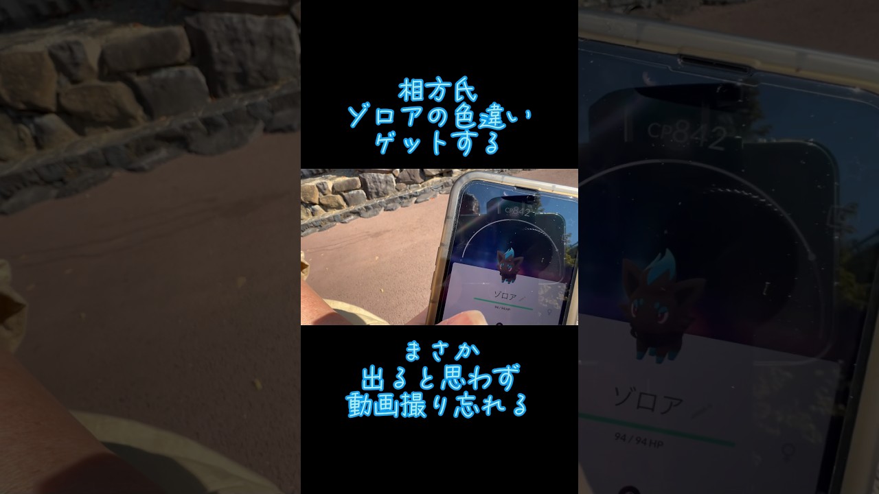 【ポケモンGO】相方氏ゾロアの色違いをゲットする#shorts
