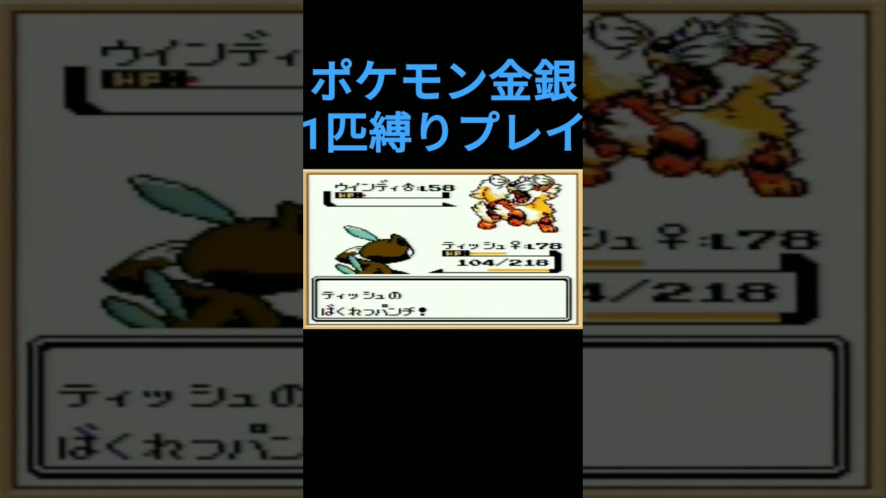 【ポケモン金銀】ポケモン金銀1匹縛りプレイ!!ニューラver【縛りプレイ】#ポケモン金銀 #縛りプレイ #ニューラ #ゲーム実況