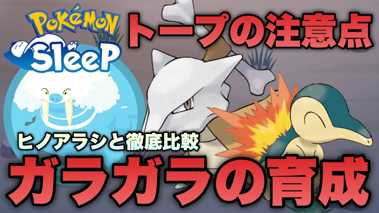 トープ洞窟のエース級！ガラガラとヒノアラシを徹底比較！トドゼルガもゲットしました【ポケモンスリープ/安心院幽】