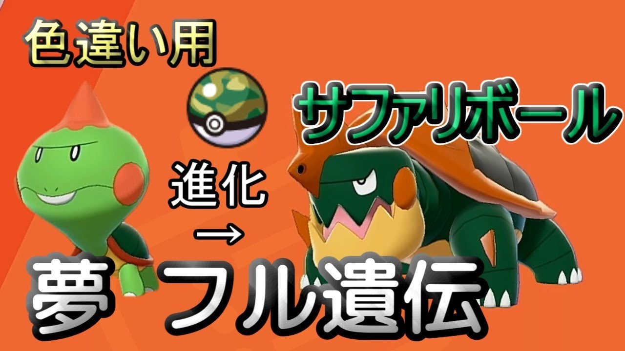 【ポケモン剣盾】色違い用 夢理想フル遺伝カムカメ 交換会