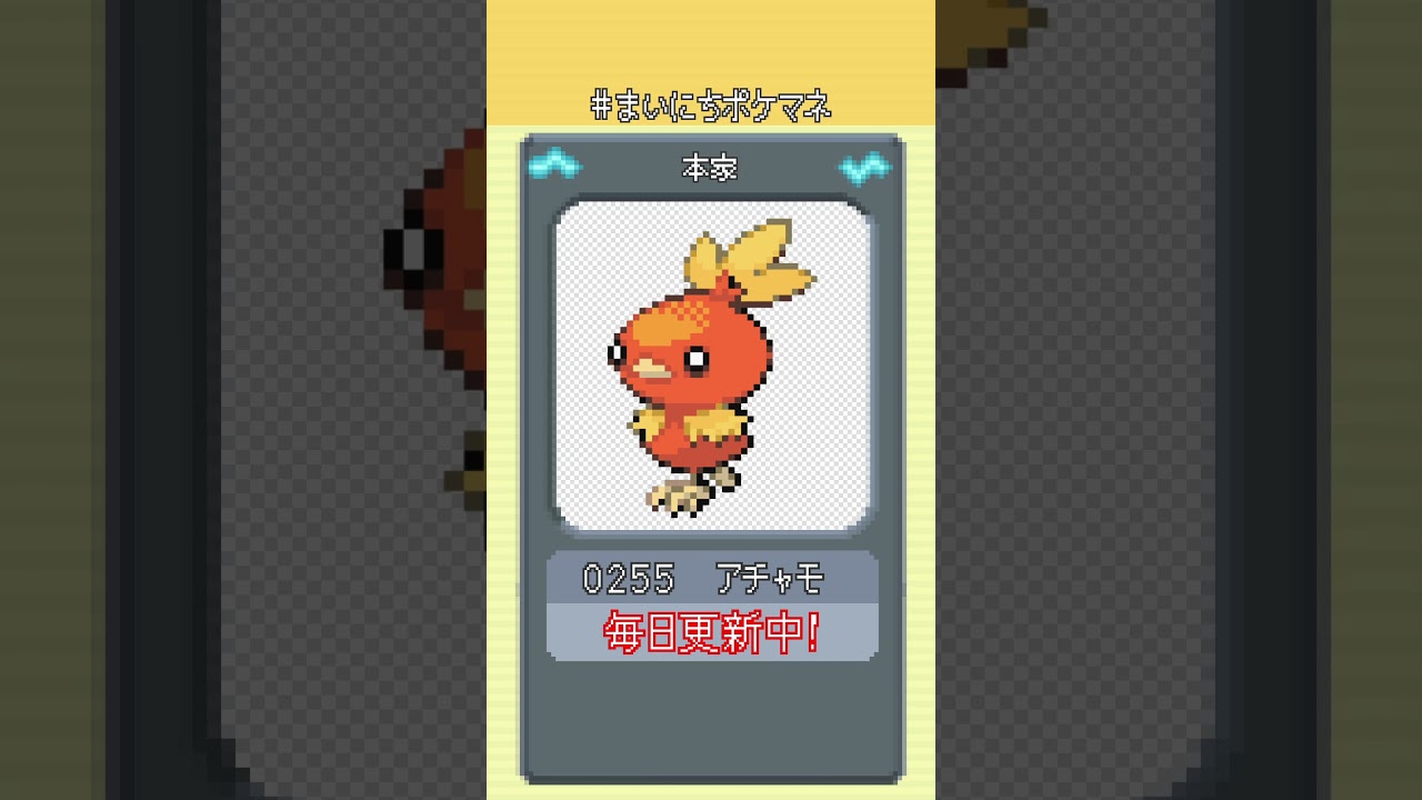 [アチャモ] 毎日ポケモンの鳴き声モノマネ - 255日目 #まいにちポケマネ #shorts