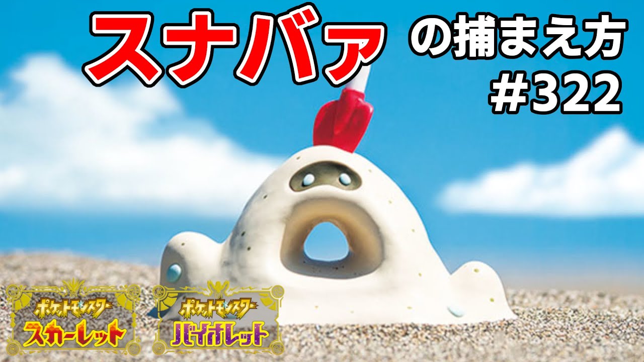 スナバァを探している方に見てほしい動画