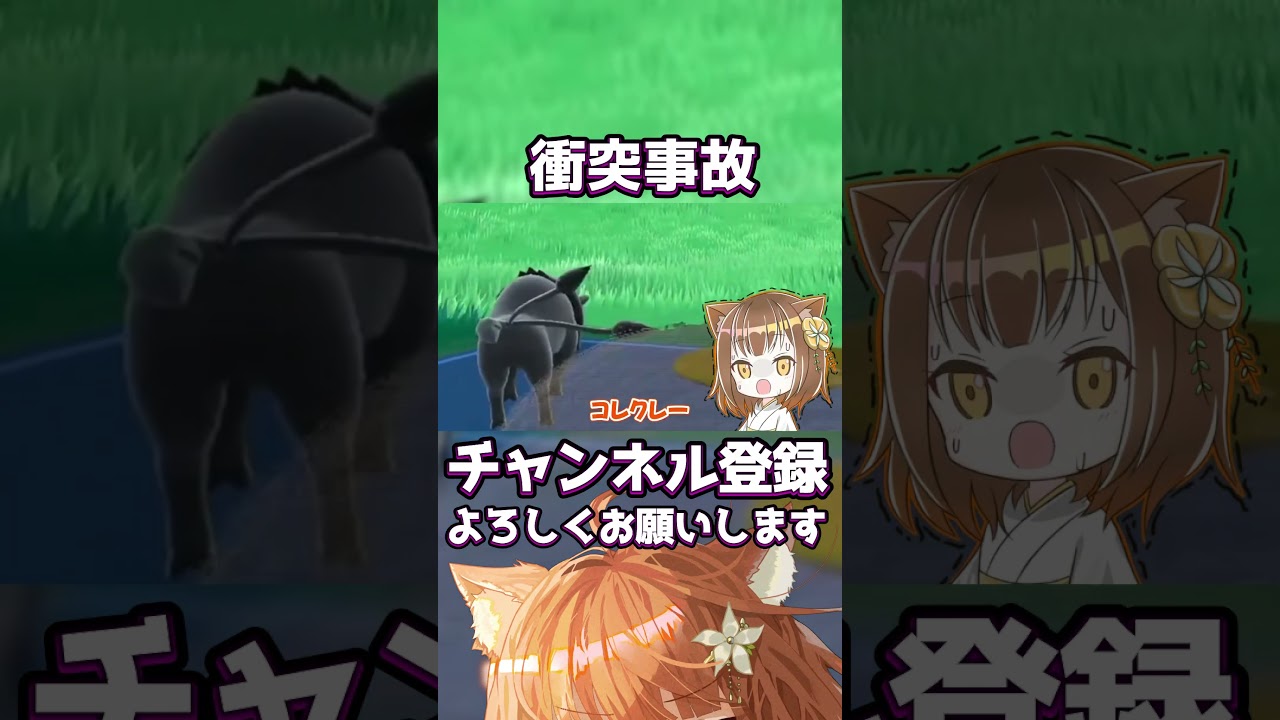 【恐怖】衝突事故🐄大丈夫かコレクレー！！！ #ポケモンSV #Shorts #ケンタロス #ポケモン