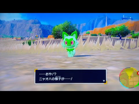 ポケットモンスターバイオレット#6 実況プレイ　ネタバレ注意❗️ ついにニャオハ、ヤヤコマ進化❗️頼むニャオハ立たないでくれ❗️ ポケモン捕まえながら１つ目のジム戦挑戦していく❗️