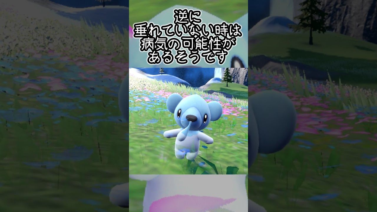 【疲れた人向け】クマシュン6匹とピクニック【ポケモンSV】#Shorts
