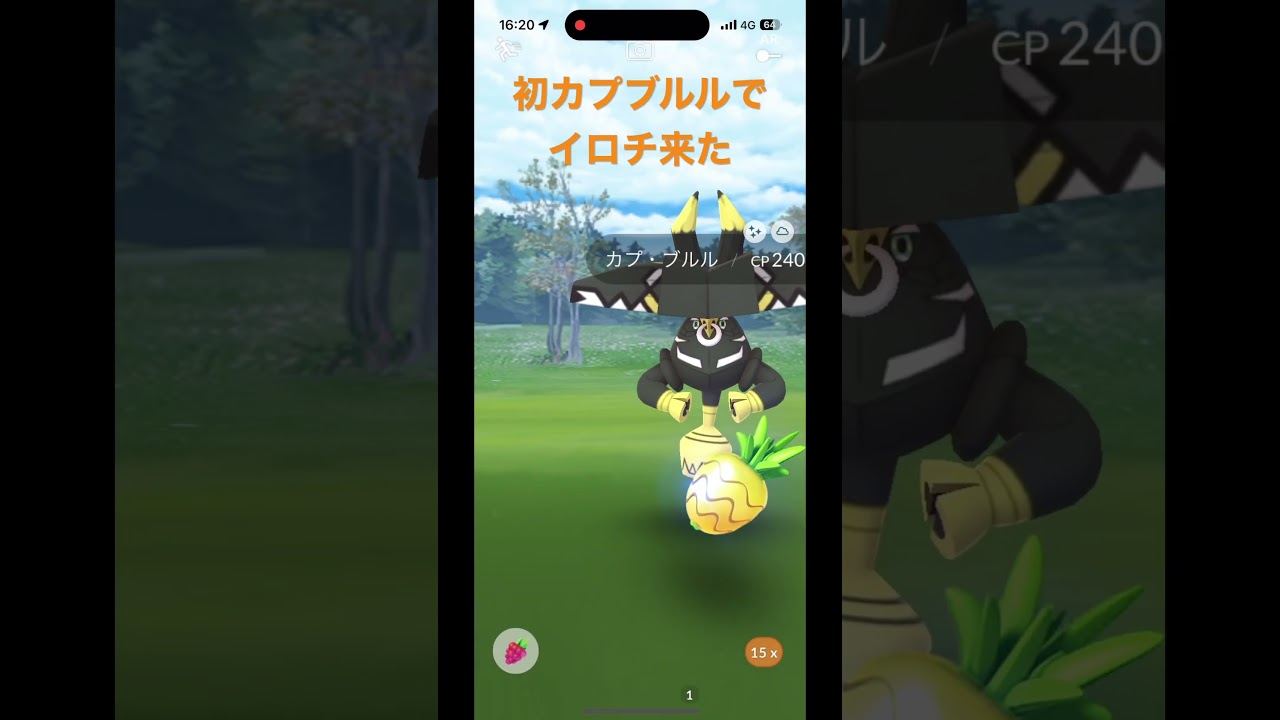 【ポケモンGO】初カプブルルでイロチ来た！ #ポケモンgo色違い   #ポケモンGO