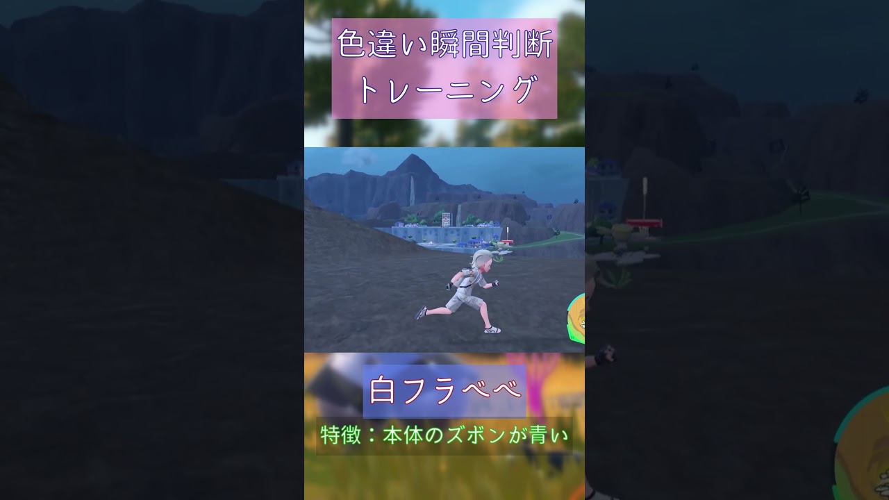 【ポケモンSV】白フラベベ色違い瞬間判断トレーニング #pokemon #shorts