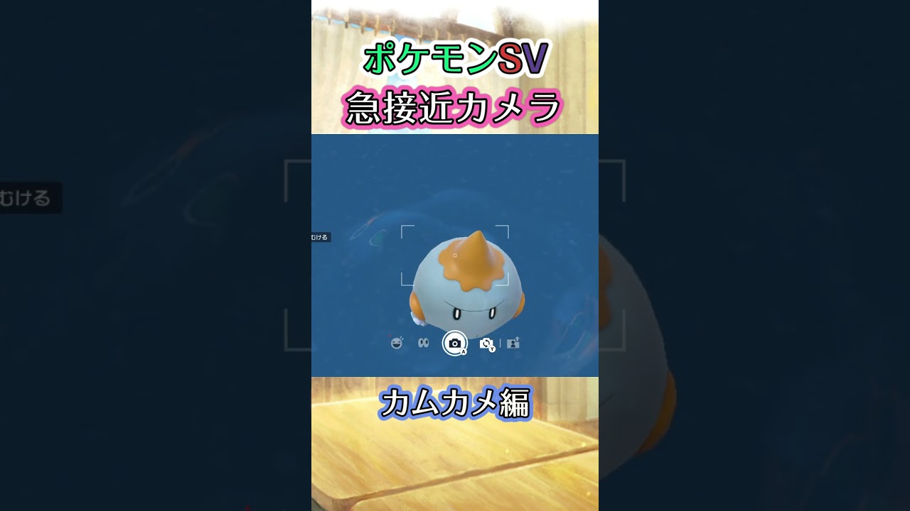 【ポケモンSV】こちらに近づこうと必死になっているカムカメを至近距離で眺めるだけの動画 #ポケモン #ポケモンsv #カムカメ #shorts