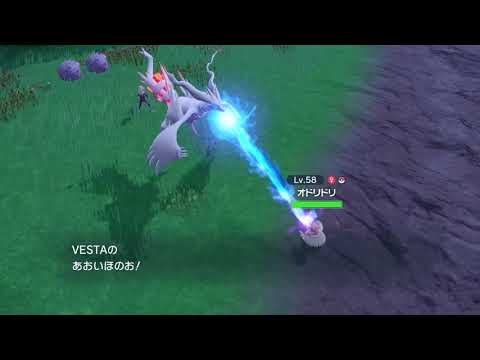 【ポケモンSV】レシラムのあおいほのお #ポケモンSV #レシラム