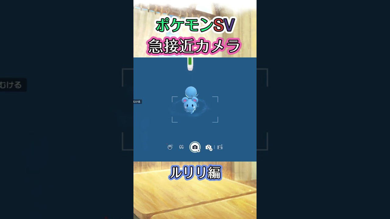 【ポケモンSV】秒で目の光を失うルリリを眺めるだけの動画 #ポケモン #ポケモンsv #ルリリ #shorts