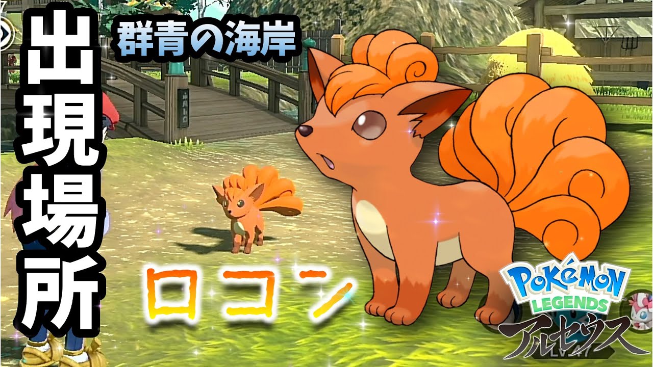 ロコンを見かけた場所！群青の海岸【ポケモンアルセウス】