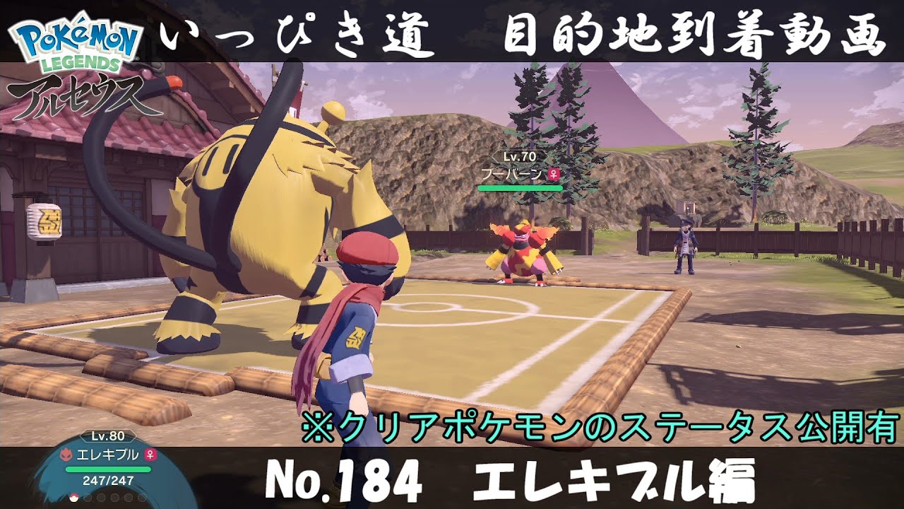【いっぴき道攻略】No.184 エレキブル編【Pokémon LEGENDS アルセウス】