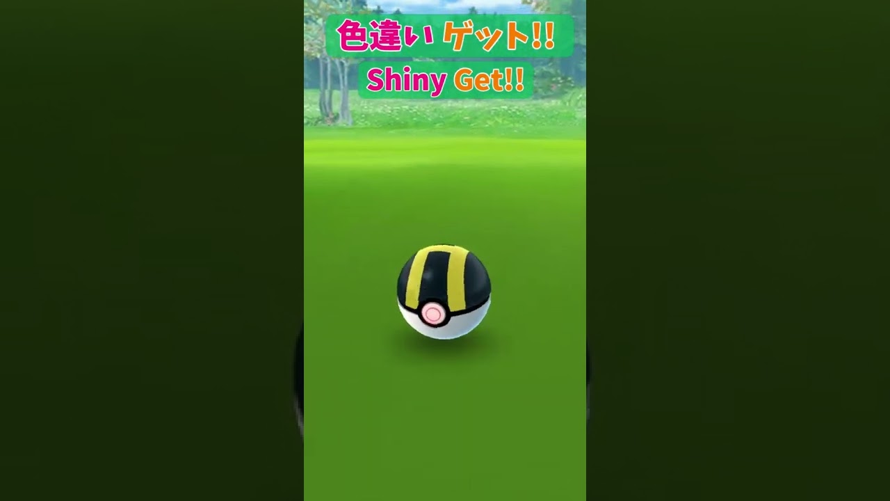 ヌイコグマ色違いゲット!! (Stufful Shiny)【ポケモンGO Pokémon GO】 #Shorts