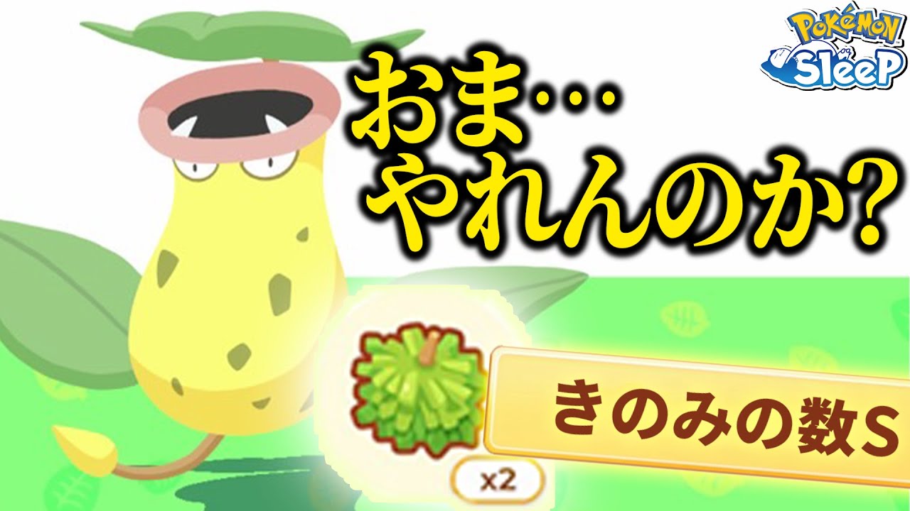 今度は直取りウツボットがきのみS持ち！みんなはどうする？【ポケモンスリープ】