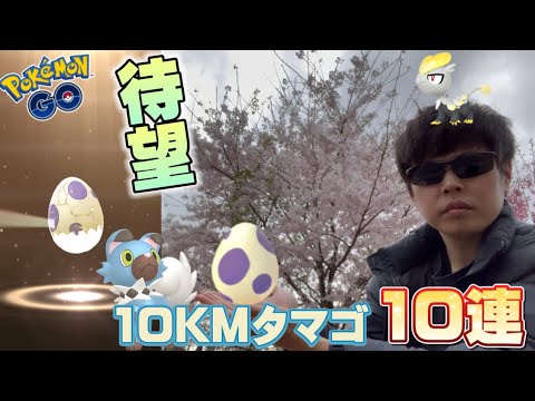希望に満ちた10KMタマゴ10連！色違いイワンコや100ジャラコ狙いで...???パートナーリサーチについても言及【ポケモンGO】
