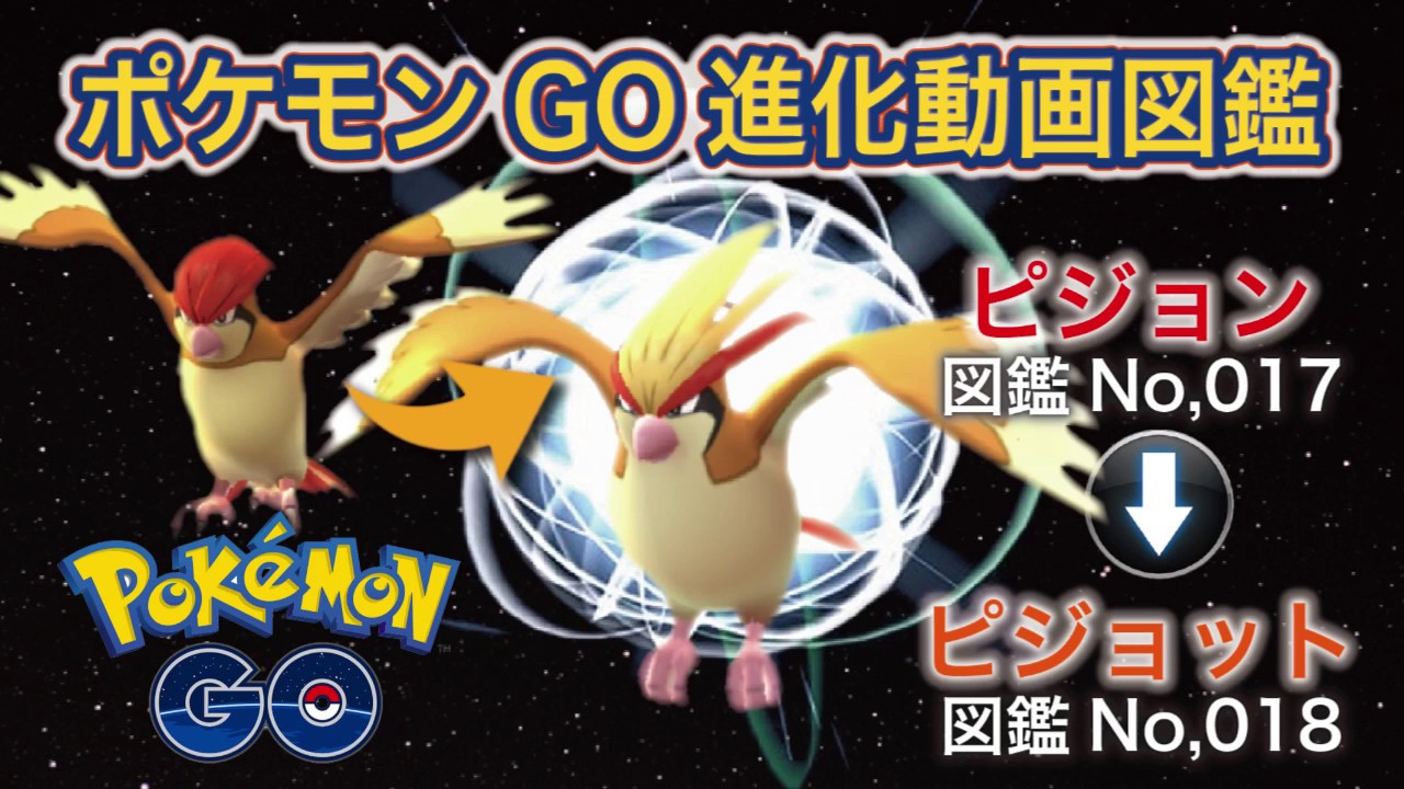 【ポケモンGO進化図鑑】017「ピジョン」→018「ピジョット」