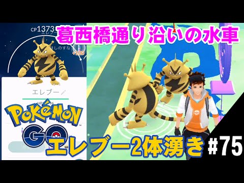 【ポケモンGO】葛西橋通り沿いの水車 エレブー2体湧き ELECTABUZZ