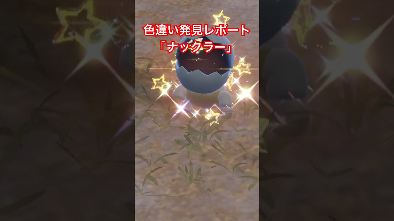 ポケモンSV色違い発見レポート「ナックラー」 #色違いポケモン