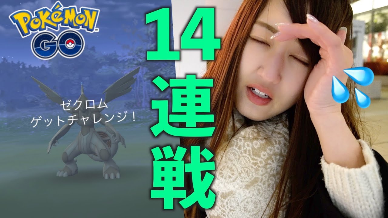 強風ゼクロムレイドアワーいけるか？【ポケモンGO】