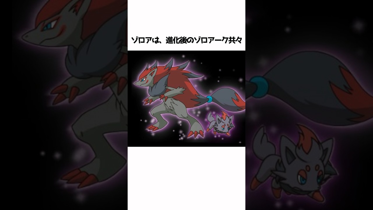 【ポケモン】ゾロアに関する面白い雑学#shorts