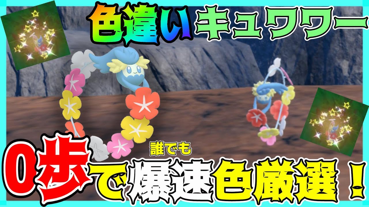 【ポケモンSV】誰でも簡単！？色違い"キュワワー"のオススメ厳選場所を教えます！【色厳選】