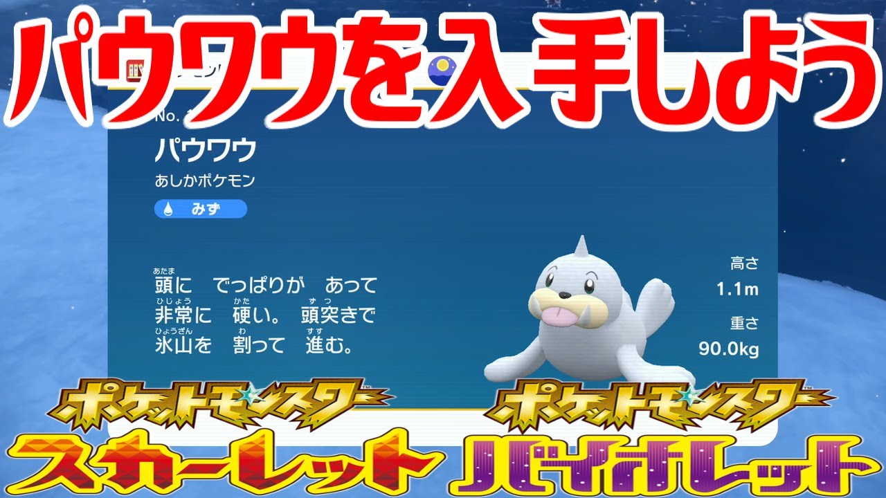 【ポケモンSV】パウワウを入手しよう【ポケットモンスター スカーレット・バイオレット ゼロの秘宝 藍の円盤】Pocket Monsters