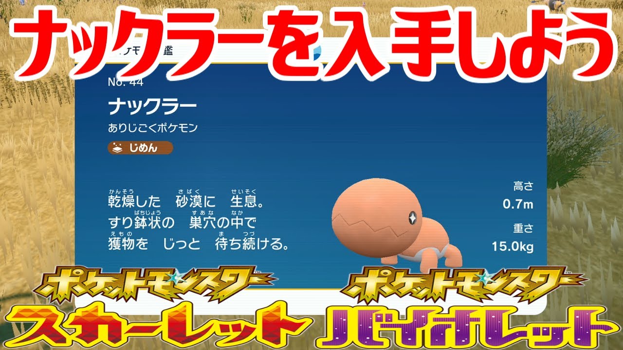 【ポケモンSV】ナックラーを入手しよう【ポケットモンスター スカーレット・バイオレット ゼロの秘宝 藍の円盤】Pocket Monsters