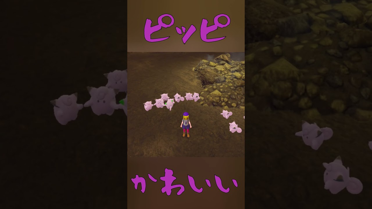 ピッピ大量発生が可愛すぎて戦えなかった②#shorts #pokemon #ピッピ #色違いピッピ #ポケモンSV