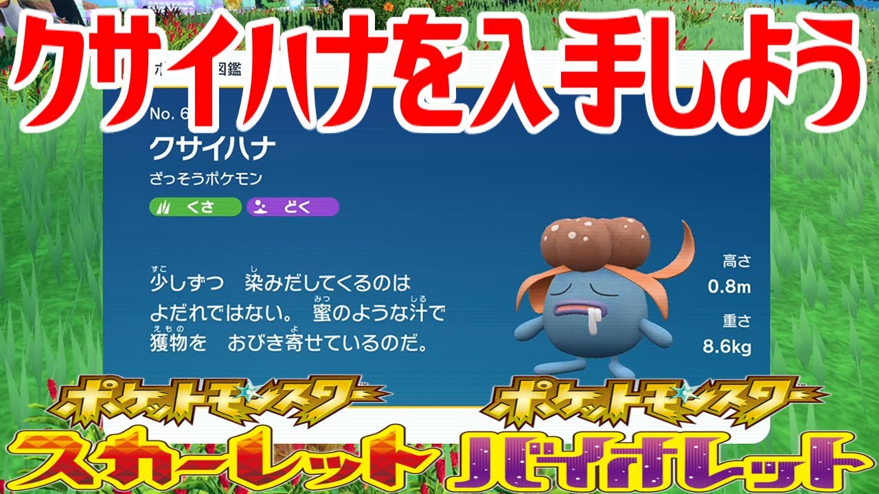 【ポケモンSV】クサイハナを入手しよう【ポケットモンスター スカーレット・バイオレット ゼロの秘宝 藍の円盤】Pocket Monsters